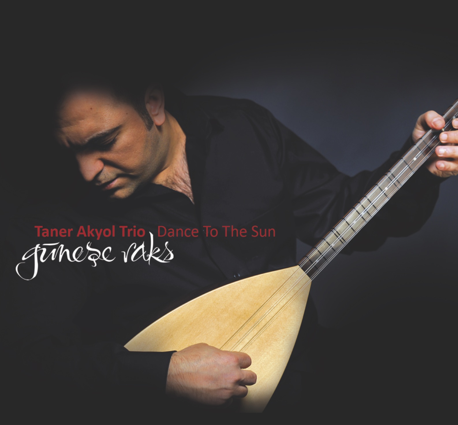 Cover: Güneşe Raks / Dance to the Sun